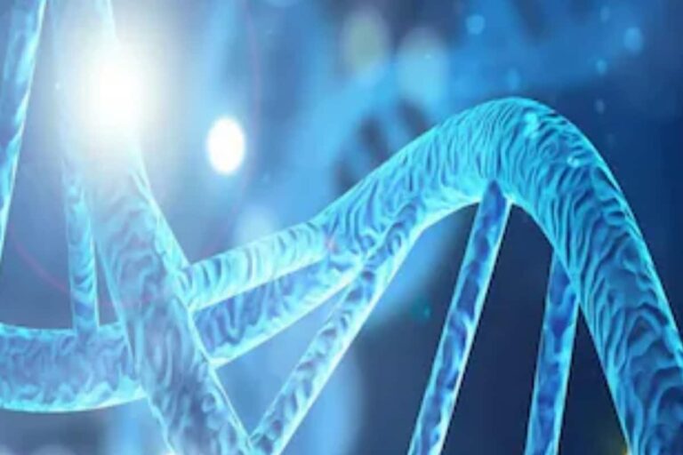 ‘Infringes Liberty, Privacy’: SC Says Can’t Force Unwilling Party to Undergo DNA Test