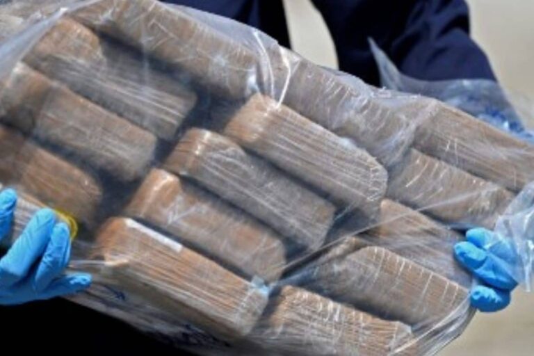 ‘Sent to Forensics, Then Burnt’: Here’s What Happens to Seized Drugs