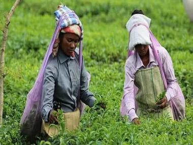 Exploited for generations, tea garden workers struggle for land rights in Darjeeling hills, Terai, and Dooars
