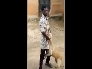 Man harasses dog and gets attacked by cow; social media calls it ‘instant karma’; watch viral video here