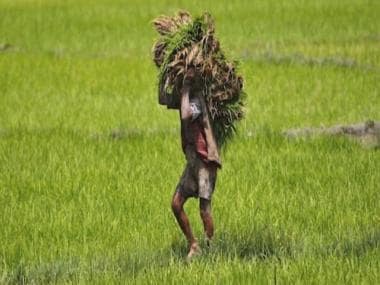We should stop politicising India’s farm sector as its crisis is far more fundamental and deep-rooted