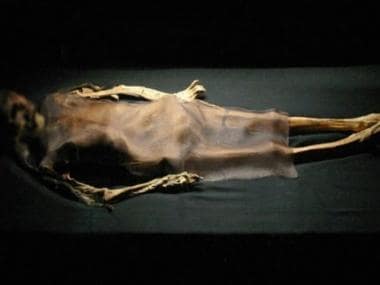 Egyptian researchers ‘digitally unwrap’ mummy of pharaoh Amenhotep I, all you need to know