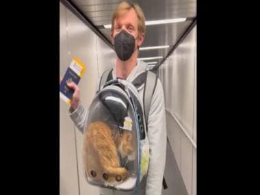 Watch | Man boards flight with pet cat in bag, see viral video here
