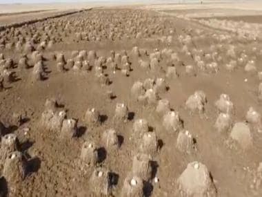 Watch: Flamingoes’ nesting area in Rann of Kutch amazes social media users, see viral video here