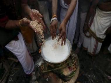 Pongal 2022: All you need to know about timings, date and rituals of four-day festival