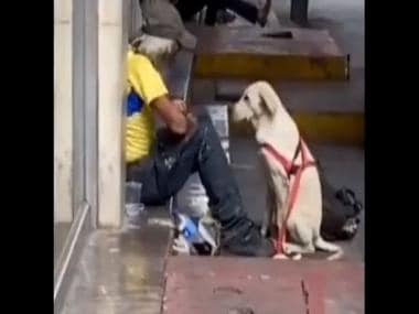 Dog hugging homeless man melts hearts on internet, watch viral video here