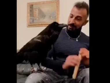 Watch: Man plays flute while raven sings along; this adorable video will make your day