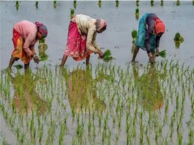 Budget 2022: Government should try to address farmers’ income and agri sustainability concerns