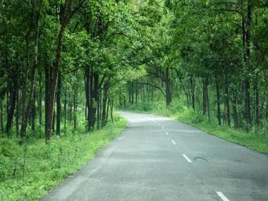 World Wildlife Day 2022: Interesting places to visit and enjoy nature, wildlife in India