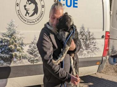 Watch: British man rescues abandoned pets from Ukraine amid war, earns praises