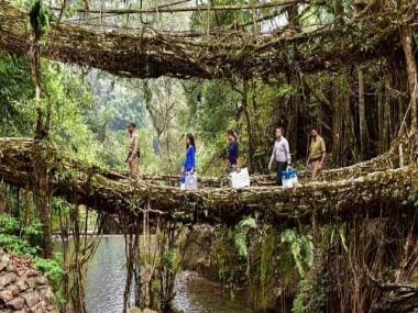 Meghalaya’s Root Bridges on tentative list of UNESCO world heritage sites: Why this natural wonder needs to be preserved