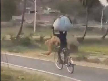 Cyclist reminds netizens ‘life is what we make it’; watch video to find out why