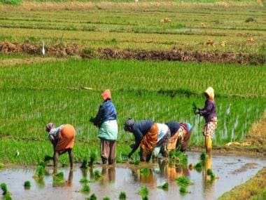 India’s agricultural exports rose remarkably despite COVID-19, may cross $50 bn in 21-22