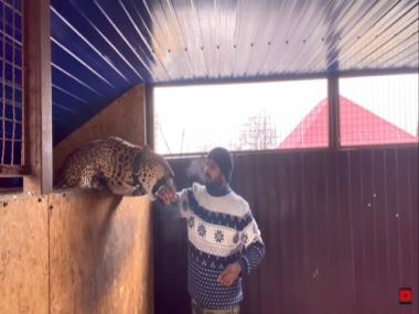 Ukraine-Russia war: Indian doctor refuses to leave Donbas without pet jaguar and panther