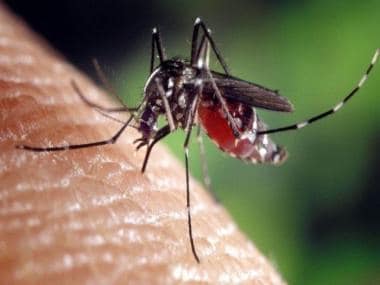 World Malaria Day 2022 – History, theme and significance