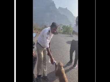 Watch: Maharashtra traffic cop offers water to thirsty monkey, internet lauds kind act