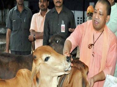 Explained: What is the Uttar Pradesh government’s plan for stray cattle?