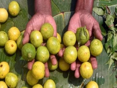 No more ‘nimbu paani’: Why prices of lemons across India have left a sour taste in mouth