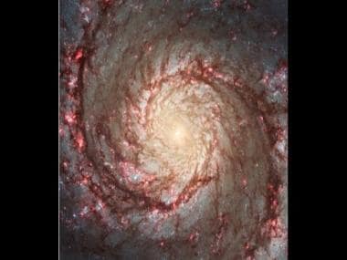 NASA shares image of Whirlpool Galaxy, internet cannot take its eyes off stunning photo