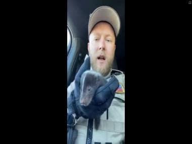 Watch: Deputy sheriff rescues baby skunk while on duty, wins hearts
