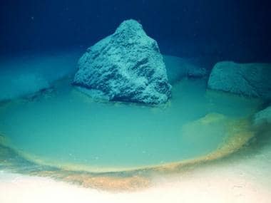 Explained: ‘Deathpools’ at bottom of the Red Sea that kill anything that swims into them