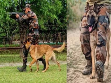 Axel’s Supreme Sacrifice: Unsung canine heroes of Indian Army