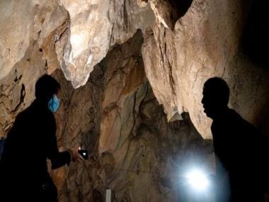 Watch: ‘Endless river of bats’ emerge from cave in Mexico; internet says ‘Dracula on the move’