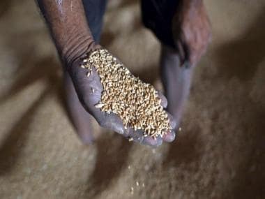 World faces major food crisis: What’s the cause? Which countries are most hit?