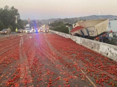 United States: California highway shut after truck carrying 1.5 lakh tomatoes crashes