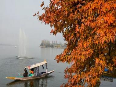 Largest Chinar Park to be built in Kashmir: What you need to know about 'ChinZaar'