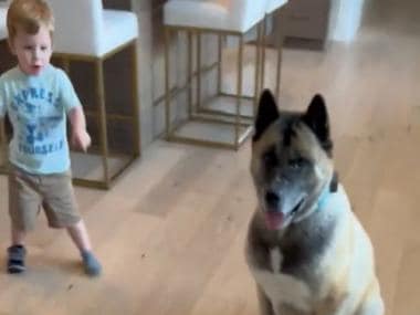 Elon Musk shares adorable video of his son with dogs, makes internet say ‘aww’
