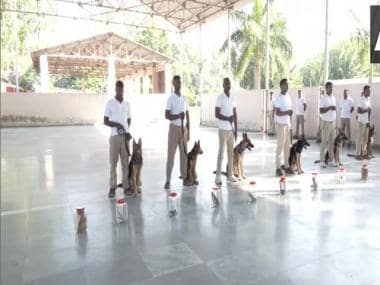 Cheetah is Back: ITBP trains dogs to protect African predators from poachers ... WATCH