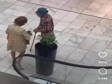 Grandparents steal plant from mall, internet calls them ‘Bonnie and Clyde’