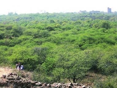Totally Wild: All about the world’s largest safari park coming up in Gurugram