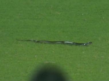 Snake interrupts play during 2nd India-South Africa T20I in Guwahati