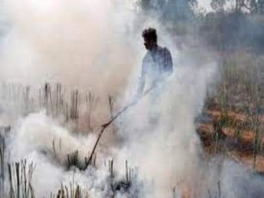 Haryana blames Punjab for stubble burning, BJP state govt says instances sharply down