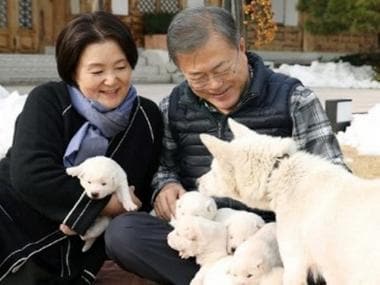Doggie Troubles: The bizarre row in South Korea over canines gifted by North Korea’s Kim Jong-un