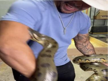Viral: Anaconda bites man multiple times, video leaves internet terrified
