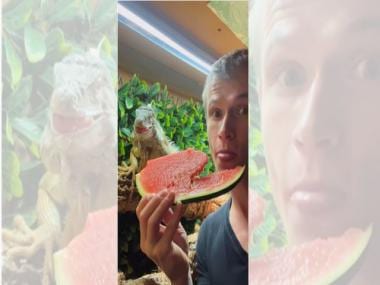 ‘Sharing is caring’: Man shares watermelon with pet lizard, video goes viral