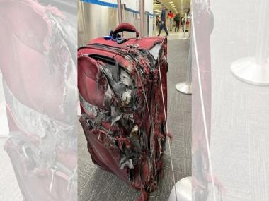 ‘Throwing it off would be in better shape’: Photo of destroyed luggage after flight gets hilarious reactions