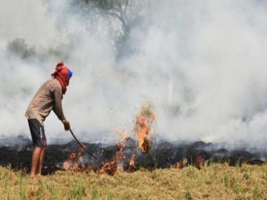 Breathless in Delhi: Why do farmers burn stubble and can it be stopped?