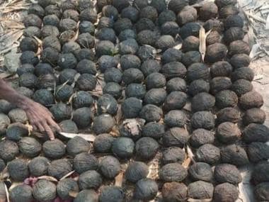 West Bengal: TMC minister gives public lesson on bomb making