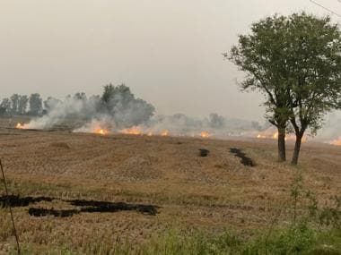 In Punjab’s paddy fields: Where the seeders are happy but the farmers are not