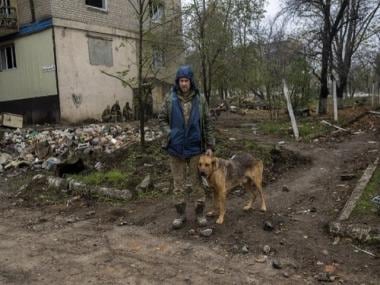 Is Russia planning to use homeless dogs as suicide bombers?