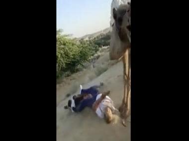 Viral video: Camel ride goes hilariously wrong for two men