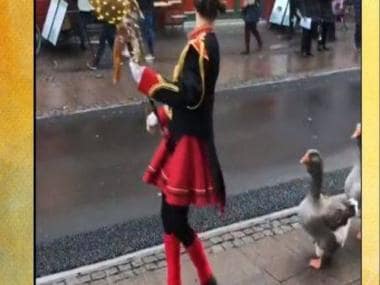 Watch video: This goose parade in Denmark will make your day