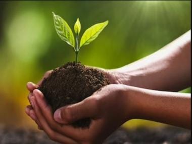 World Soil Day 2022: Know its History, significance and theme