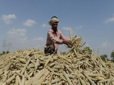 Millets are the New Yoga: India’s big plan to make the cereals its biggest export in 2023