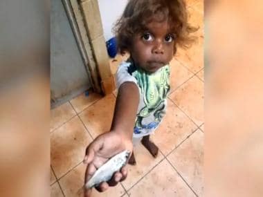 Raining Fish: Why an Australian town experienced fish falling from the skies